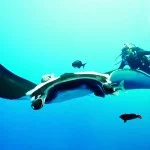Costa-da-Mata-Atlantica-Esportes-Mergulho-Shutterstock-bx