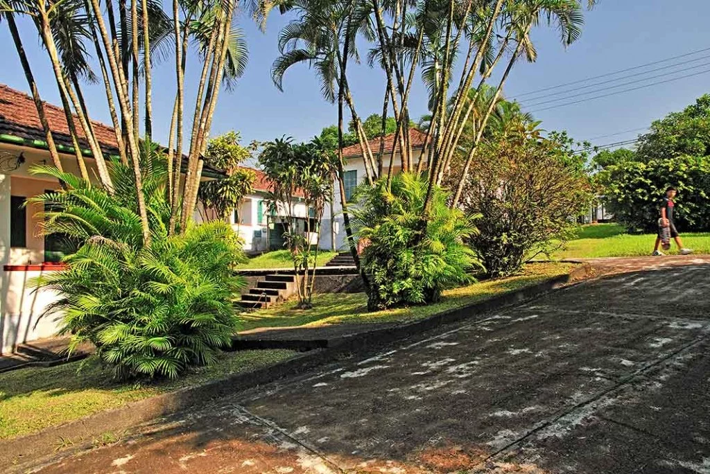 Vila Light