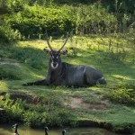 Itatiba-Turismo-Zooparque-Marcio-Masulino-IMG_4193-bx