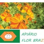 apiario