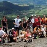 atibaia-turismo-pet-friendly-passeio-turismo-4-patas-bx