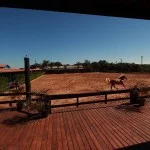 atibaia-turismo-rural-haras-IMG_9699-n-sra-fatima-Marcio-Masulino-bx
