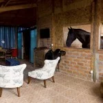 atibaia-turismo-rural-haras-coudelaria-n-sra-fatima-chale-bx