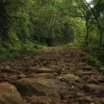 ilhabela-meio-ambiente-cachoeira-da-laje-004-bx