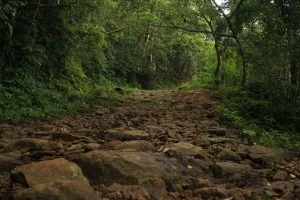 ilhabela-meio-ambiente-cachoeira-da-laje-004-bx