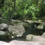 ilhabela-meio-ambiente-cachoeira-da-toca-719-bx