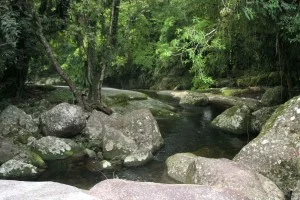 ilhabela-meio-ambiente-cachoeira-da-toca-719-bx