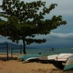ilhabela-meio-ambiente-praia-da-armacao-norte-26-bx