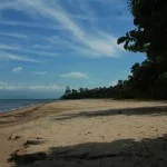 ilhabela-meio-ambiente-praia-da-siriuba-norte-20-bx
