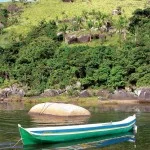 ilhabela-meio-ambiente-praia-do-bonete-sul-robert-werner-bx