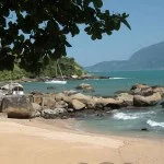 ilhabela-meio-ambiente-praia-do-portinho-sul-884-bx