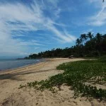 ilhabela-meio-ambiente-praia-garapocaia-norte-21-bx