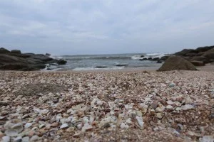 itanhaem-Meio-Ambiente-praia-conchas-IMG_6212-bx
