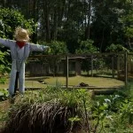 rp_itatiba-turismo-rural-fazenda-cheiro-de-mato-_MG_0587-bx-1024×682.jpg