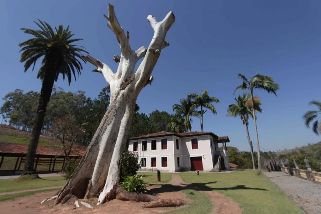 jarinu-historia-museu-fazenda-terra-brasil-fachada-bx