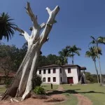 jarinu-historia-museu-fazenda-terra-brasil-fachada-bx