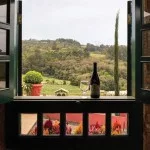 louveira-turismo-rural-sitio-santa-rita-vinhos-micheletto-bx
