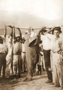 Caiçaras em São Sebastião-praia-frente-1925-ft-agnello-santos-bx