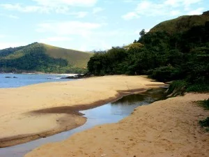 sao-sebastiao-meio-ambiente-Praia-de-Toque-Toque-1-bx