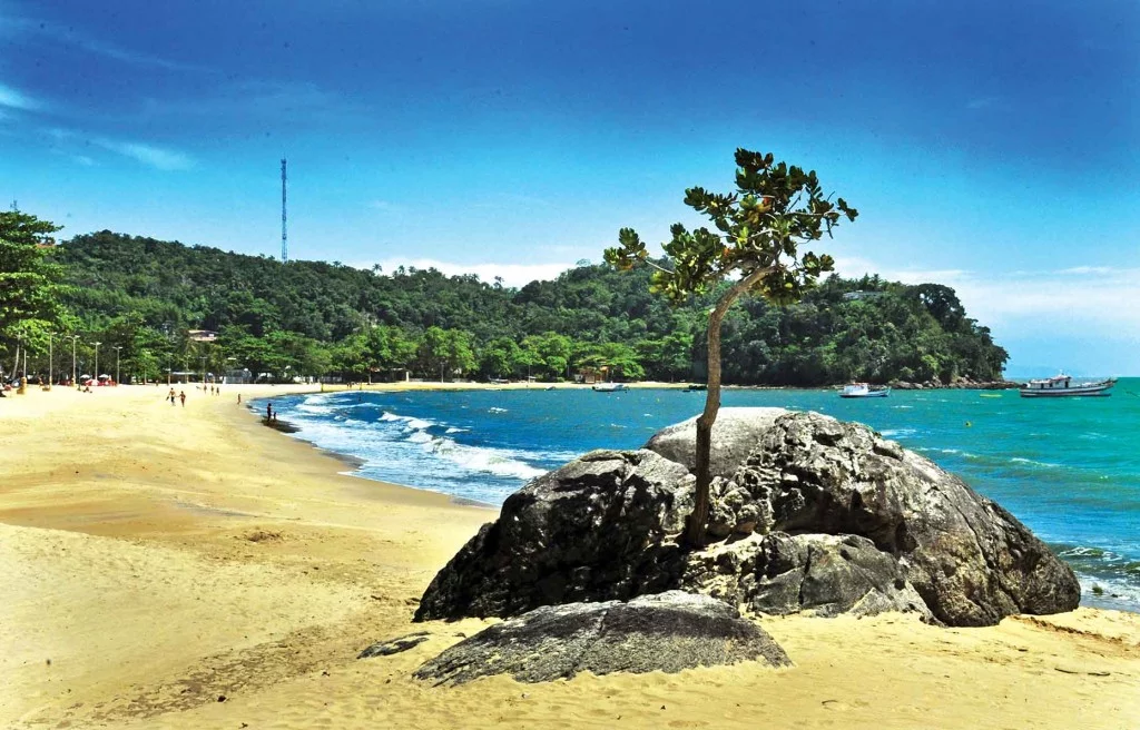 Praias de São Sebastião-meio-ambiente-praia-Praia-Cigarras-4-bx
