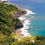 sao-sebastiao-meio-ambiente-praia-brava-Boicucanga-bx