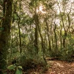 valinhos-turismo-rural-ecologico-cocais-trilhas-bx