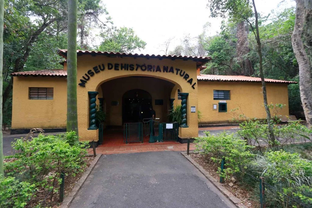 Museu de História Natural em Campinas-turismo-cultura-mg_0780-bx