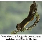 pub-ricardo-martins