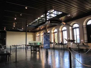 Museu do Instituto de Pesca em Santos