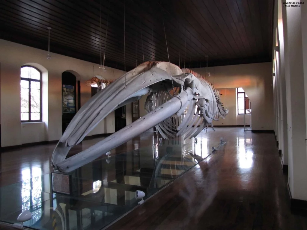 Museu do Instituto de Pesca em Santos