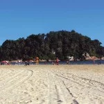 santos-meio-ambiente-ilha-urubuquecaba-bx