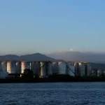 santos-meio-ambiente-ilha-barnabe-img_5562-bx