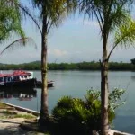 santos-meio-ambiente-ilha-diana-bx