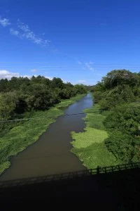 Rio Jaguari 