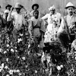 campinas-historia-colheita-algodao-escravos-feitor-bx