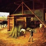 campinas-historia-ilustracao-economia-colonial-escravos-engenho-bx