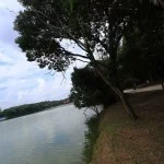 campinas-meio-ambiente-lago-taquaral-bx