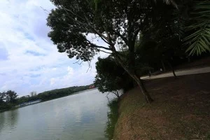 campinas-meio-ambiente-lago-taquaral-bx