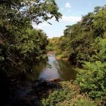 campinas-meio-ambiente-rio-atibaia-bairro-c-gomes-_mg_1133-bx