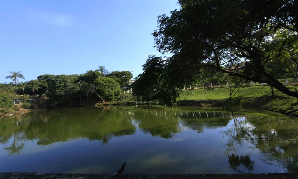 Bosques de Campinas-meio-ambiente-bosque-dos-guarantas-bx