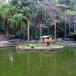 campinas-meio-ambiente-bosque-jequitiba-_mg_0765-bx