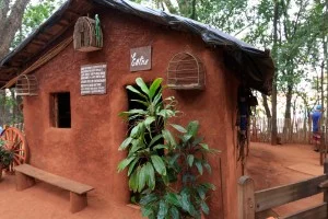 Bosque dos Jequitibás em Campinas