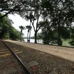 campinas-meio-ambiente-lago-taquaral-2-bx