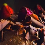 santos-gastronomia-confeitaria-joinville-bolo-mousse-chocolate-bx