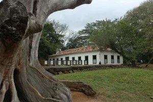 Fortalezas na Rio-Santos - IMG_3162-paraty-forte-defensor-perpetuo-bx