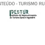 idestur 2