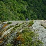 Monte-verde-Foto- Ricardo-Cozzo-03