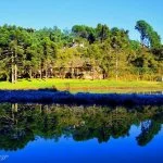 Monte-verde-Foto- Ricardo-Cozzo-11