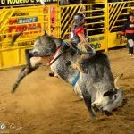 Monte-verde-Foto- Ricardo-Cozzo-24