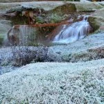 Monte-verde-Foto- Ricardo-Cozzo-26